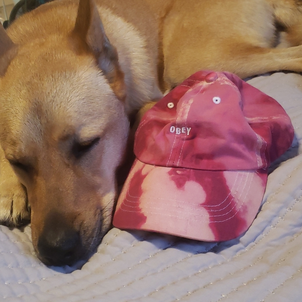 Never worn! Pink tie dye Obey hat